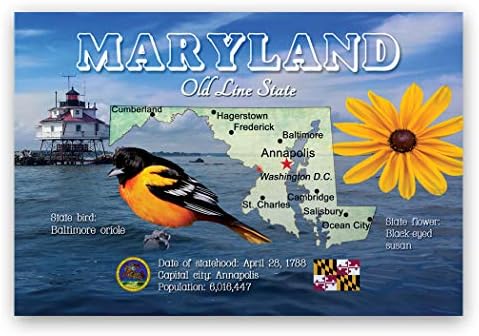 MARYLAND HARİTA kartpostalı 20 özdeş kartpostaldan oluşan set. MD devlet haritası posta kartları. ABD'de üretilmiştir.