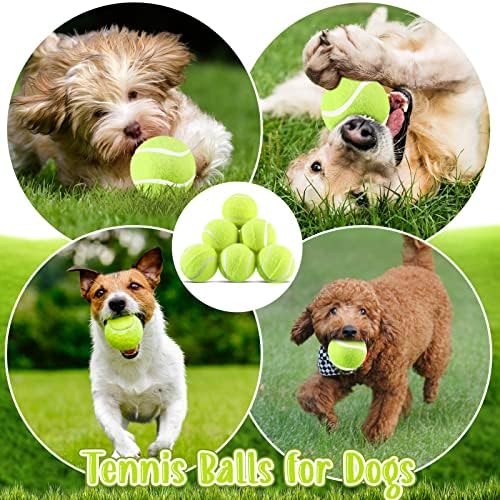 Hanaıve 20 Adet Köpek Tenis Topları Küçük Köpek için 2 İnç Mini Tenis Topları Evcil Hayvan Tenis Topları Çekici Oyuncak