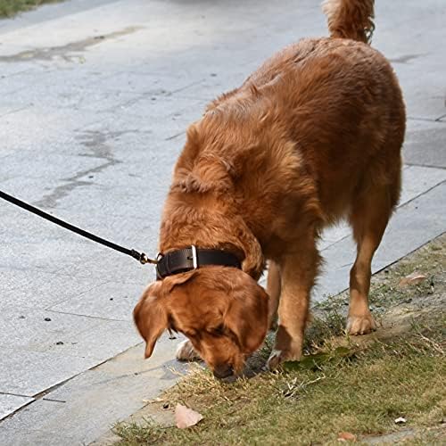LUXACO Deri köpek tasması, Tam Tahıllı Latigo Deri,Yumuşak ve Dayanıklı, Orta ve Küçük Köpekler için, Siyah, Kahverengi