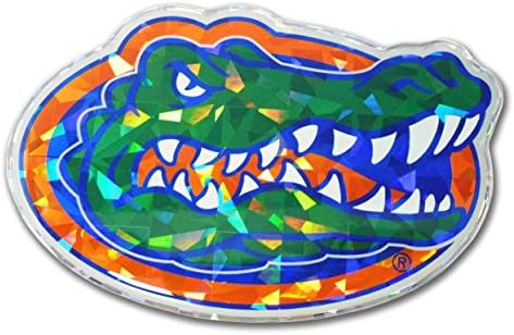 Elektrolizle Florida Gators Renk Yansıtıcı 3D Çıkartması Kubbeli Sticker Amblem
