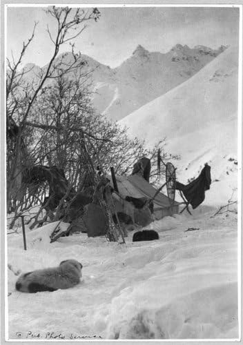 HistoricalFindings Fotoğraf: Kaşif Çadırı, Güvenli Bir Şekilde Demirlemiş Eşyalar, Alaska, AK, Kamp, Kar, 1900-1930