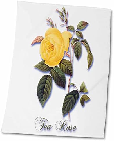 3dRose Parlak Sarı Çay Gülü Botanik Baskılı Havlular (twl-181164-3)