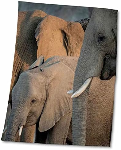 3dRose Afrika, Zambiya. Yetişkin ve genç fil sürüsü. - Havlular (twl-256991-3)