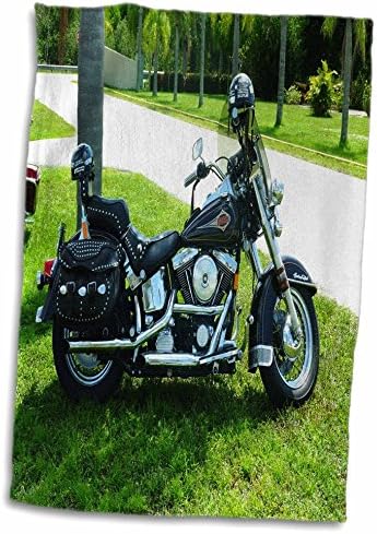 Florida Fuarında Siyah Harley ® Bisikletini Resmeden 3dRose Havlu-Havlular (twl-62352 - 1)