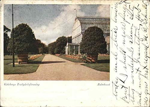 Göteborg Bahçe Derneği Palm House Göteborg, İsveç Orijinal Antika Kartpostal
