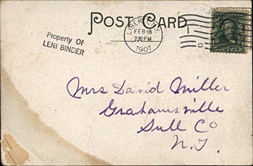 Yukarıdan Görünüm Ferndale, New York NY Orijinal Antika Kartpostal 1907