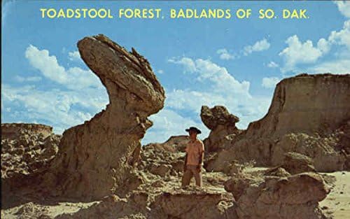 Mantar Ormanı Manzaralı Güney Dakota SD Orijinal Vintage Kartpostal