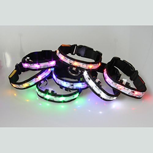 baskılı Ayı Renkli Naylon LED Pet Yaka (Boyut S) ile 7 parçalı ACEVER LED Köpek Tasması