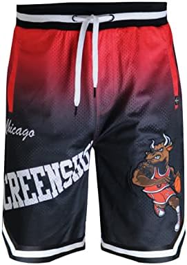 EKRAN GÖRÜNTÜSÜ Erkek Premium Kentsel Sreetwear Moda Basketbol Örgü Şort-Atletik Spor Takımı Renk 11 Inseam Jersey